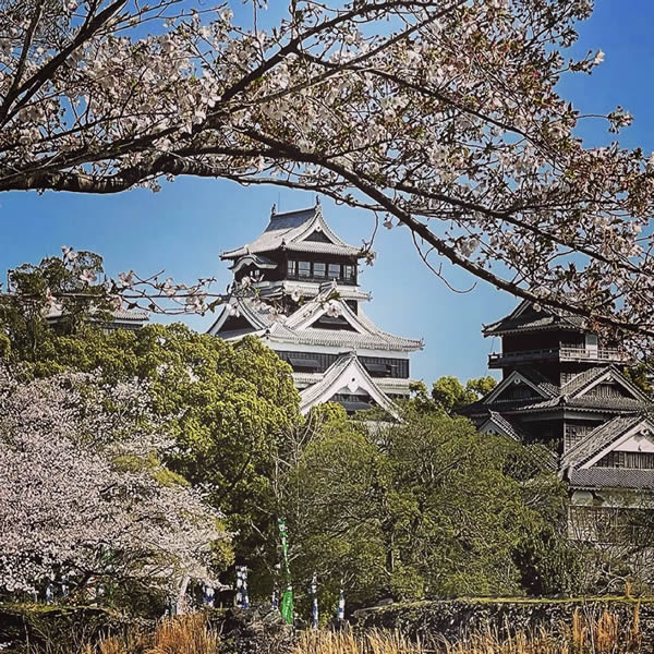 熊本城