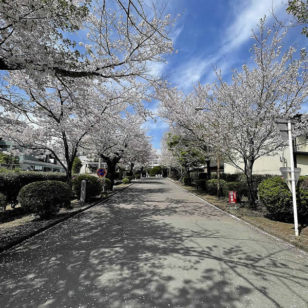 熊本屈指の進学校・熊本高校正門前