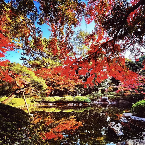 東京都庭園美術館