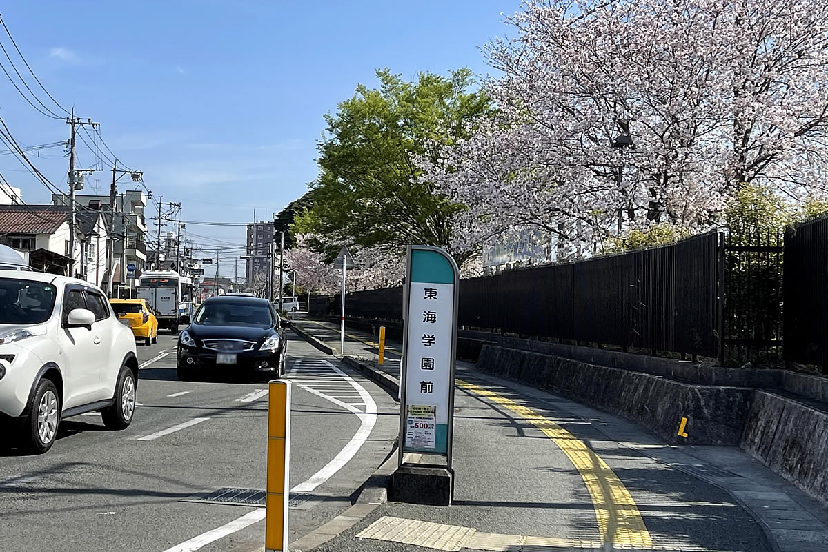 東海学園前桜並木