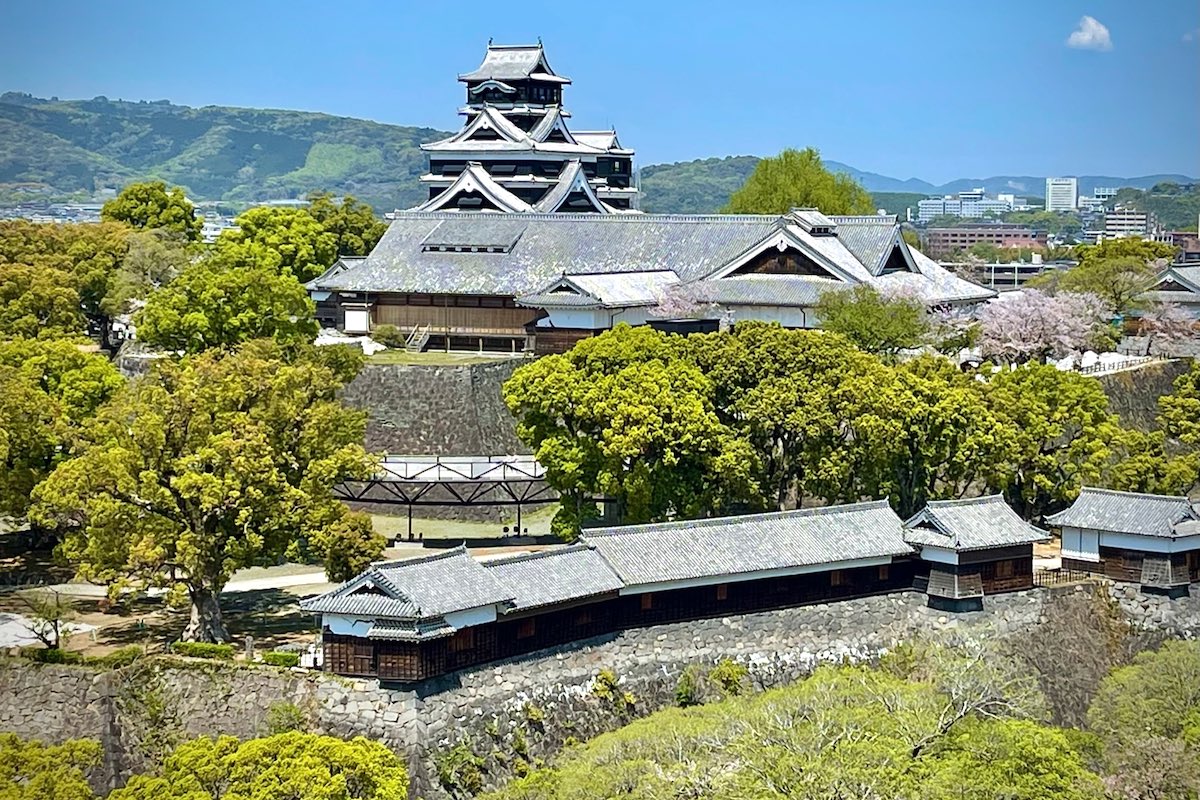 熊本城の満開の桜を上から撮影