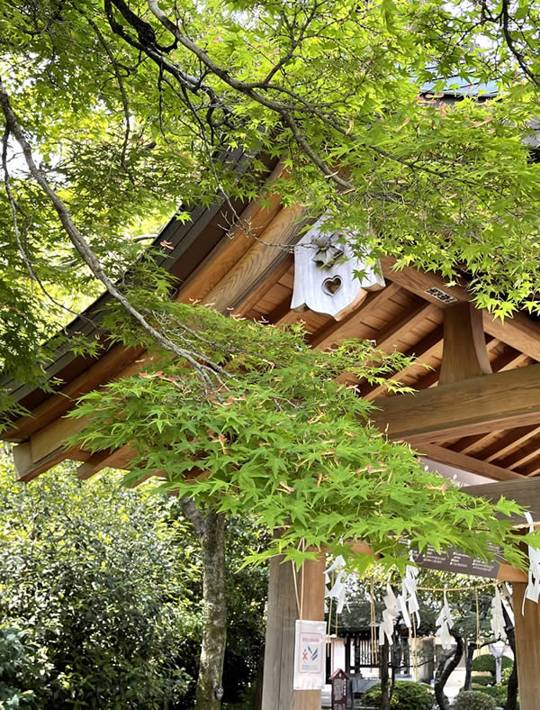 熊本市中央区水前寺成趣園・出水神社