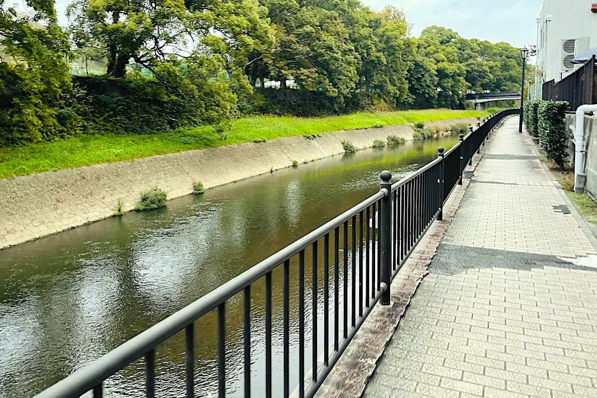 坪井川遊歩道（桜町）